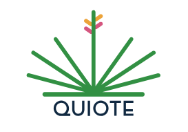 Quiote