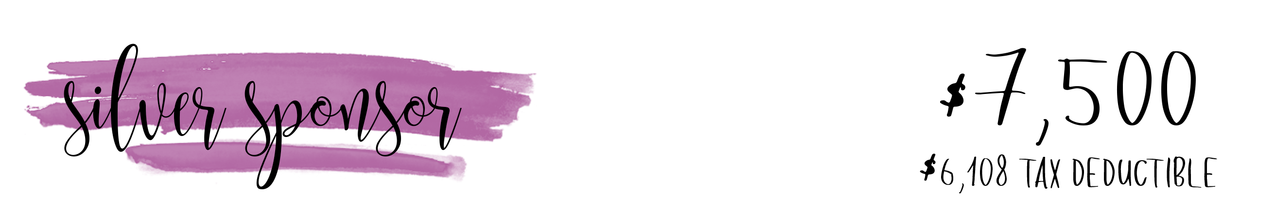 Silver Sponsor