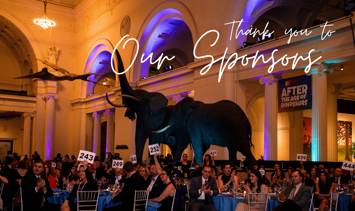 sponsor header
